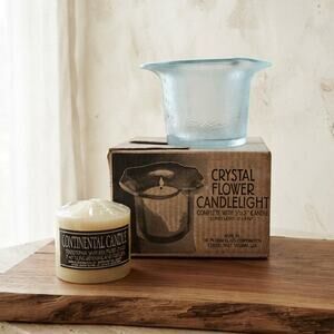 Vintage Pilgrim Glass Crystal Flower Candlelight NOS Box Organic Modern